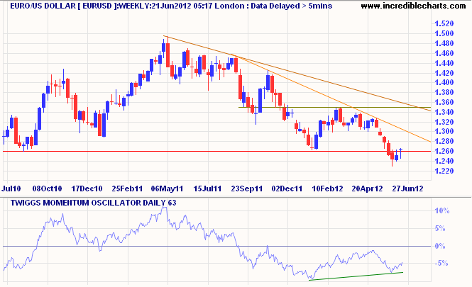 Euro/US Dollar