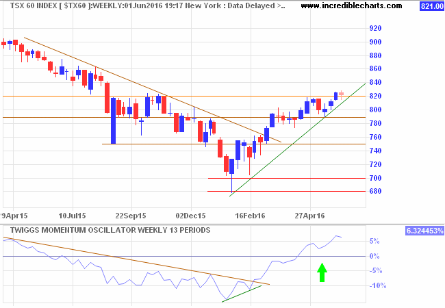 TSX 60 Index