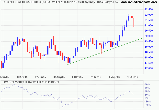 ASX 200 Health Care