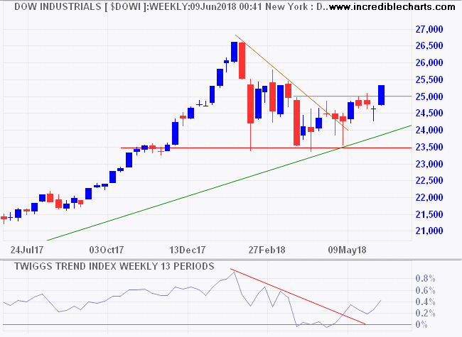 Dow Jones Industrial Average