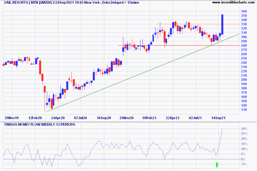 Vail Resorts (MTN)