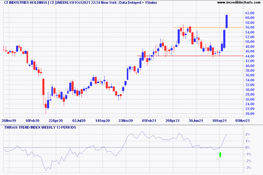 CF Industries Holdings (CF)