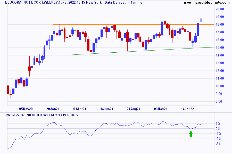 Blucora Inc (BCOR)