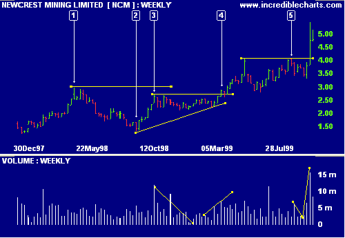 NCM Cup and Handle Pattern